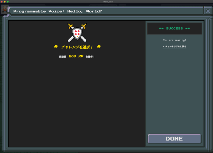 twilio-quest-voice-lesson1-api-done