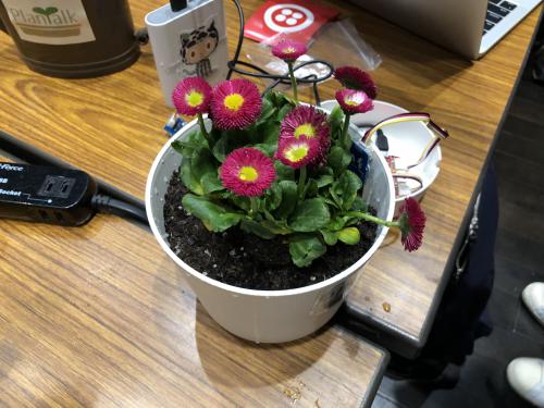 2018-02-25 18.31.34.jpg